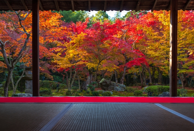 圓光寺の窓枠を額縁に見立てた紅葉