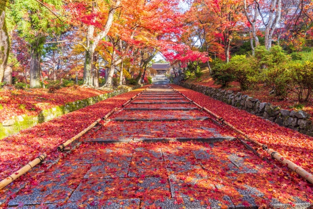 毘沙門堂の石段の紅葉
