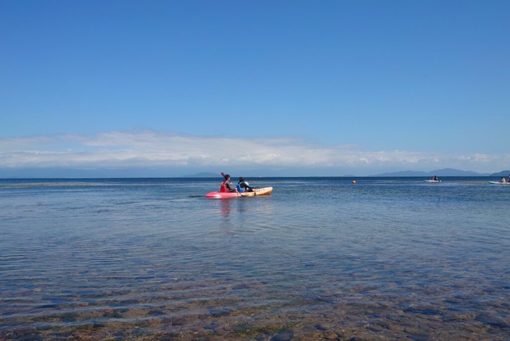 家族でカヤック体験をしている様子