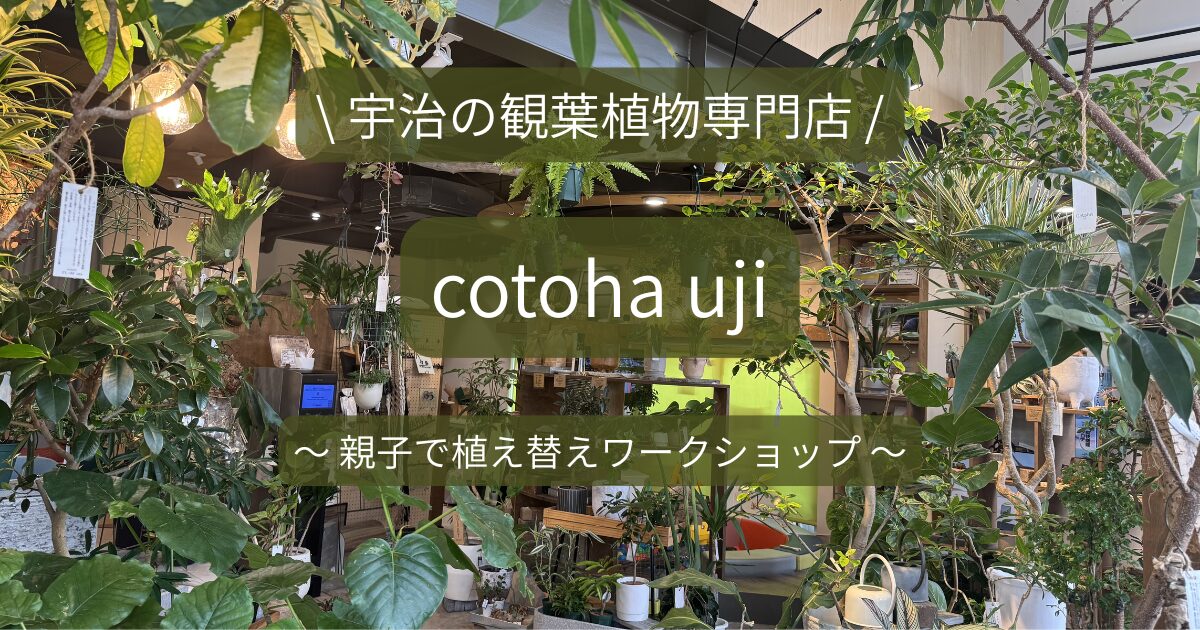 宇治の観葉植物専門店 cotoha uji の内観