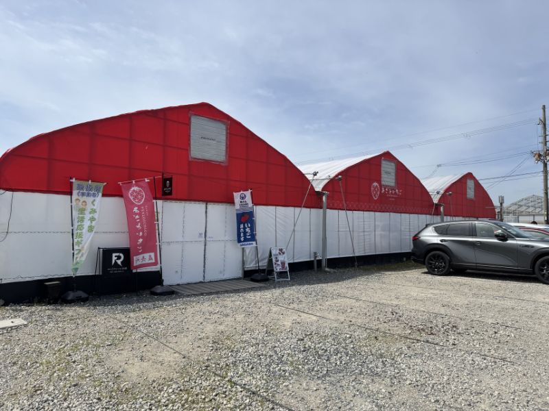 あざといちごハウスの駐車場(京都府久御山町)