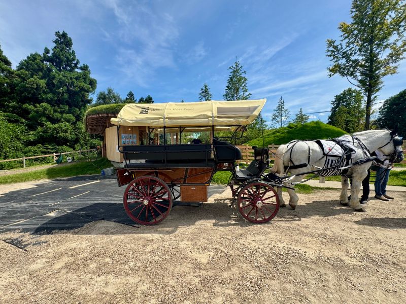 りんごちゃんが引く馬車の全景