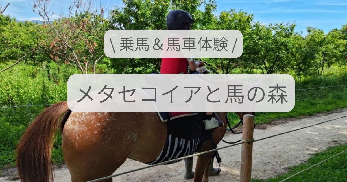 メタセコイアと馬の森で乗馬体験をする娘