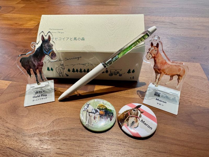 メタセコイアと馬の森で購入した馬のお土産